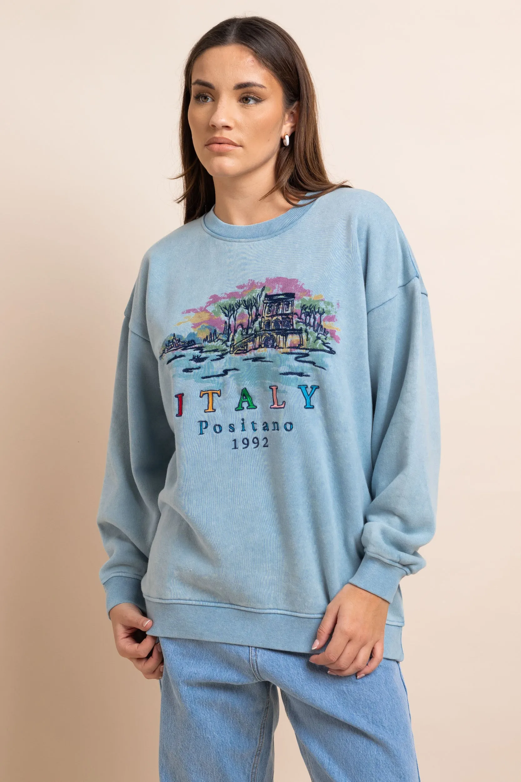 Daisy Street Washed Blue Sweat With Print & Embroidery